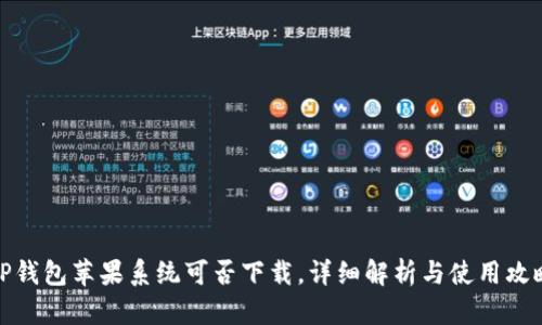 TP钱包苹果系统可否下载，详细解析与使用攻略