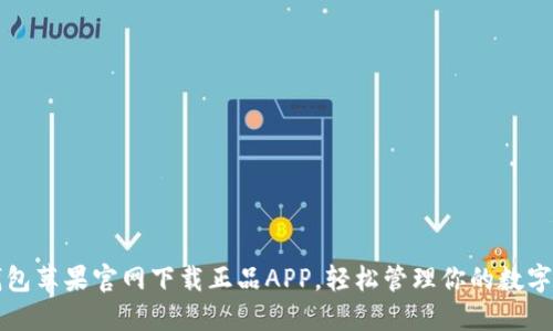 TP钱包苹果官网下载正品APP，轻松管理你的数字资产