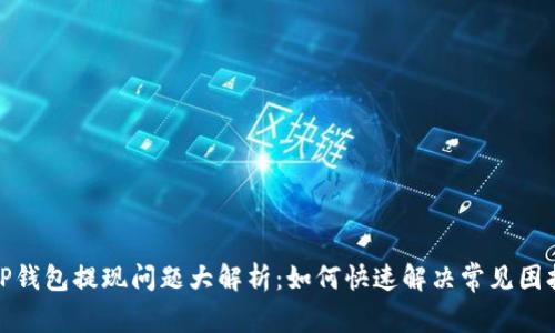 TP钱包提现问题大解析：如何快速解决常见困扰