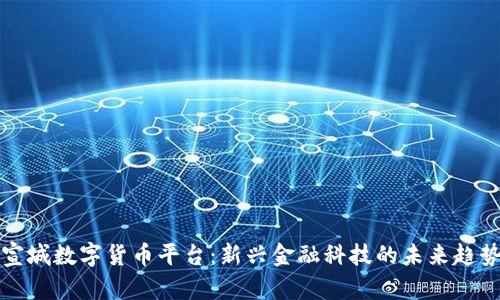 宣城数字货币平台：新兴金融科技的未来趋势