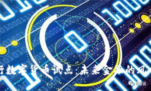 “深圳央行数字货币试点：未来金融的风口与挑战”