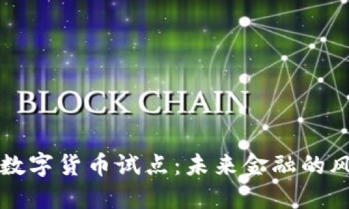 “深圳央行数字货币试点：未来金融的风口与挑战”