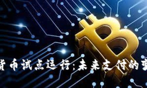 央行数字货币试点运行：未来支付的变革与机遇