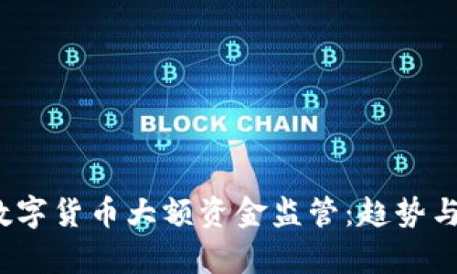 2023年数字货币大额资金监管：趋势与挑战分析