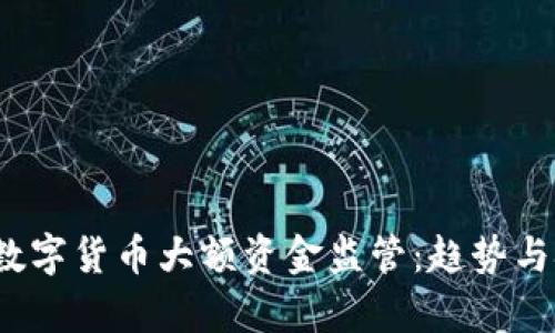2023年数字货币大额资金监管：趋势与挑战分析