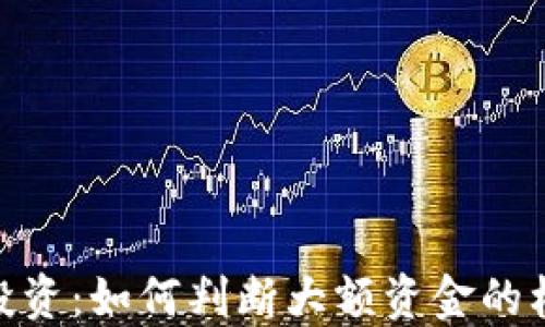 
数字货币投资：如何判断大额资金的标准与风险