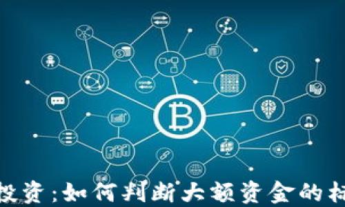 
数字货币投资：如何判断大额资金的标准与风险