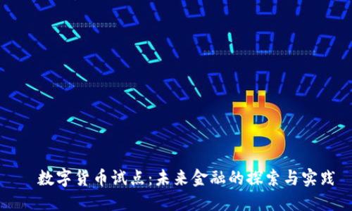   数字货币试点：未来金融的探索与实践