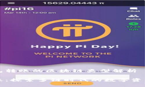 关于TP钱包转账的区块链类型解析

TP钱包转账：探索多链时代的数字资产管理方式