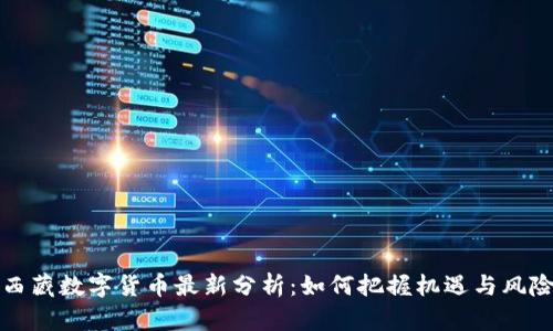 西藏数字货币最新分析：如何把握机遇与风险