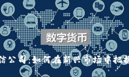 数字货币授信公司：如何在新兴市场中把握机遇与挑战