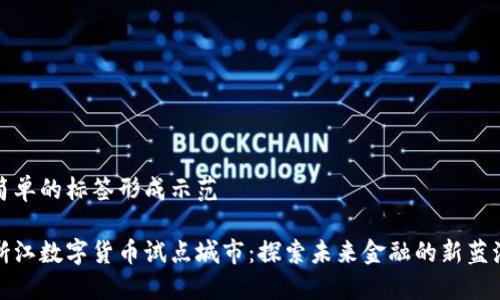 简单的标签形成示范

浙江数字货币试点城市：探索未来金融的新蓝海