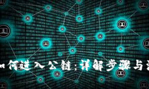 TP钱包如何进入公链：详解步骤与注意事项