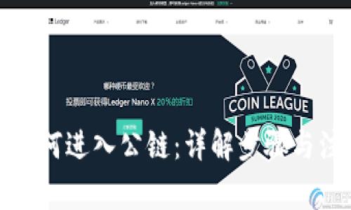 TP钱包如何进入公链：详解步骤与注意事项