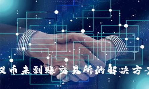 TP钱包提币未到账交易所的解决方案与建议