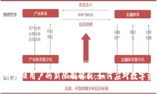 TP钱包针对大陆用户的新限制解析：如何应对数字资产的挑战