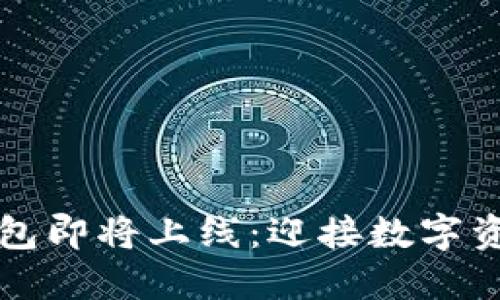 以太坊钱包即将上线：迎接数字资产新时代