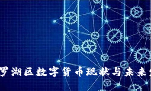 2023年罗湖区数字货币现状与未来发展趋势