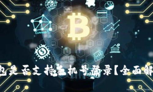 ### t p钱包是否支持手机号登录？全面解析与使用指南