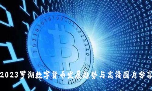 2023罗湖数字货币发展趋势与高清图片分享