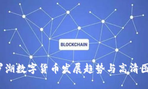2023罗湖数字货币发展趋势与高清图片分享