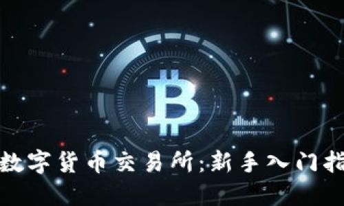 如何选择最佳数字货币交易所：新手入门指南与时下热潮
