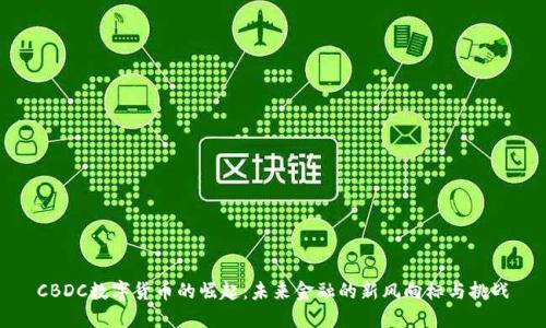 CBDC数字货币的崛起：未来金融的新风向标与挑战
