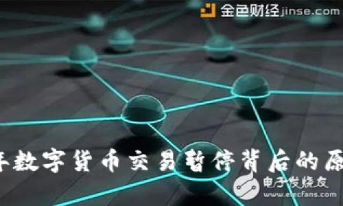 2023年数字货币交易暂停背后的原因解析
