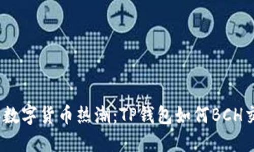 2023年数字货币热潮：TP钱包如何BCH交易体验
