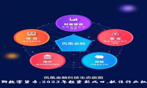 大狮数字货币：2023年投资新风口，抓住行业机遇