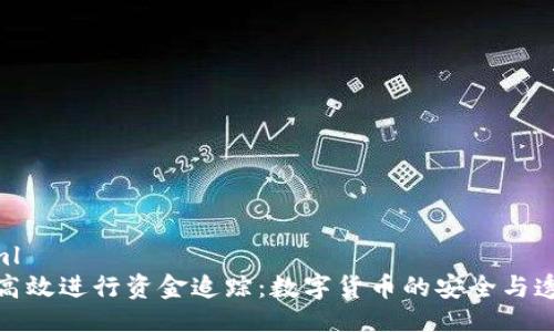```xml
如何高效进行资金追踪：数字货币的安全与透明性
