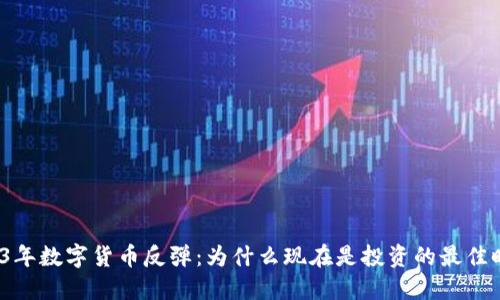 2023年数字货币反弹：为什么现在是投资的最佳时机？