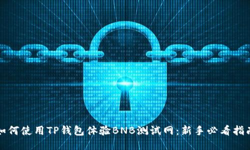 如何使用TP钱包体验BNB测试网：新手必看指南