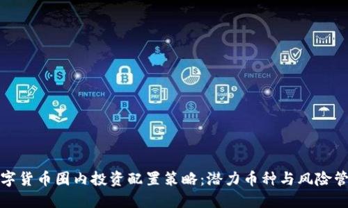 数字货币圈内投资配置策略：潜力币种与风险管理