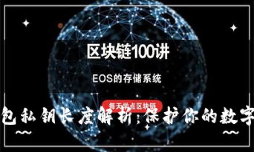 以太坊钱包私钥长度解析：保护你的数字资产安全