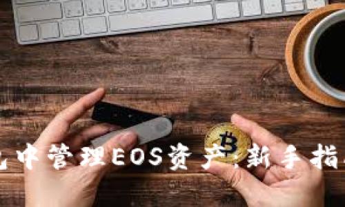 如何在TP钱包中管理EOS资产：新手指南与使用技巧
