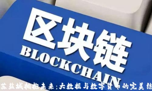 
江苏盐城拥抱未来：大数据与数字货币的完美结合