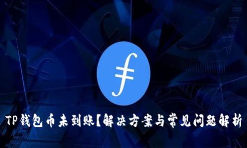 TP钱包币未到账？解决方案与常见问题解析