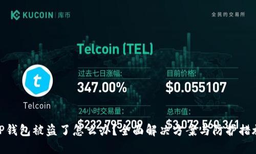 TP钱包被盗了怎么办？全面解决方案与防护措施