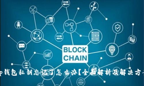 tp钱包私钥忘记了怎么办？全面解析及解决方案