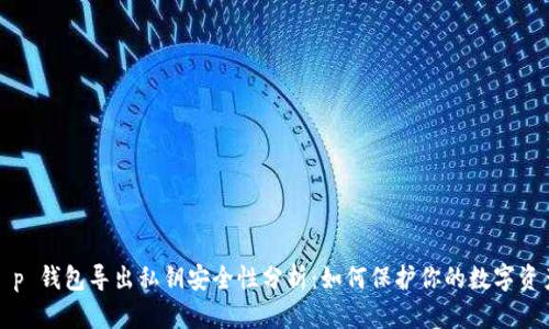 t p 钱包导出私钥安全性分析：如何保护你的数字资产