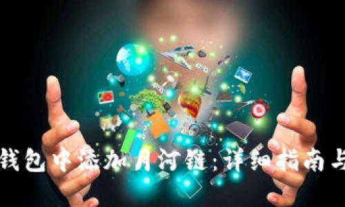 如何在TP钱包中添加月河链：详细指南与实用技巧