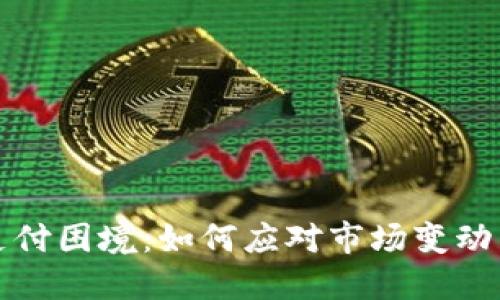 数字货币支付困境：如何应对市场变动与监管压力