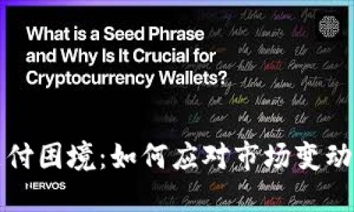 数字货币支付困境：如何应对市场变动与监管压力
