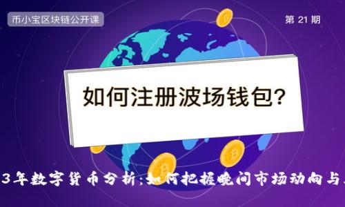 2023年数字货币分析：如何把握晚间市场动向与风险