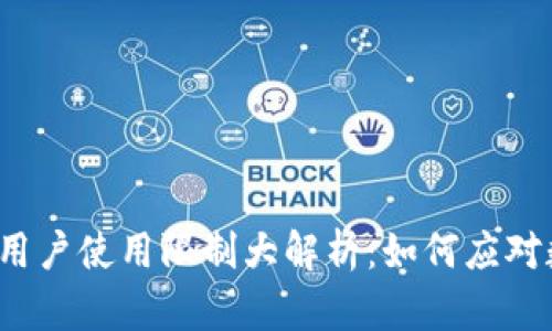2023年TP钱包中国用户使用限制大解析：如何应对数字资产管理新挑战