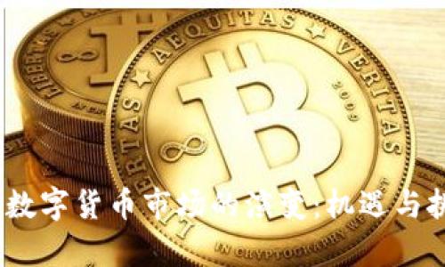 2023年数字货币市场的演变：机遇与挑战并存