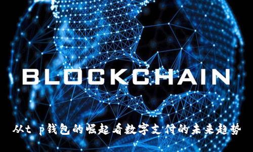 从t p钱包的崛起看数字支付的未来趋势