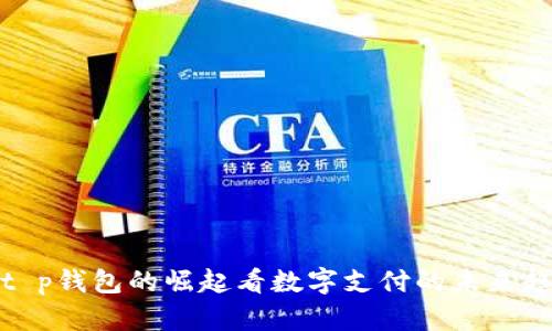 从t p钱包的崛起看数字支付的未来趋势