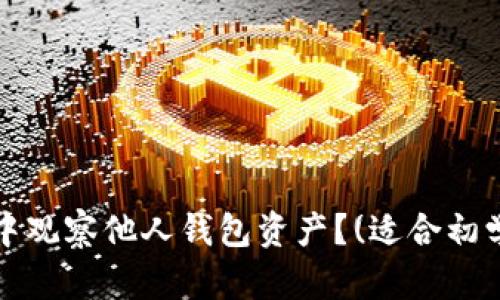 如何在TP钱包中观察他人钱包资产？(适合初学者的PID教程)